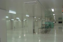 凈化車間這些標準，你知道嗎